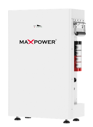 Advanced Lithium Storage and Battery Management Systems